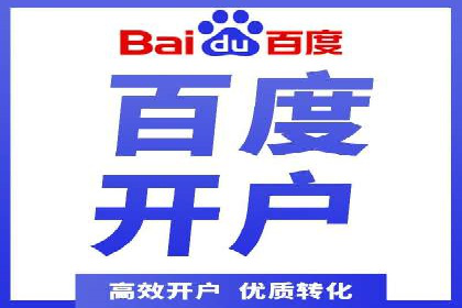 百度竞价推广案例：品牌崛起之路